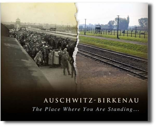 Book Cover: Auschwitz-Birkenau - the Place Where You Are Standing. Composite image of a historical photograph of selection at Birkenau and a colour photograph of the same site today.